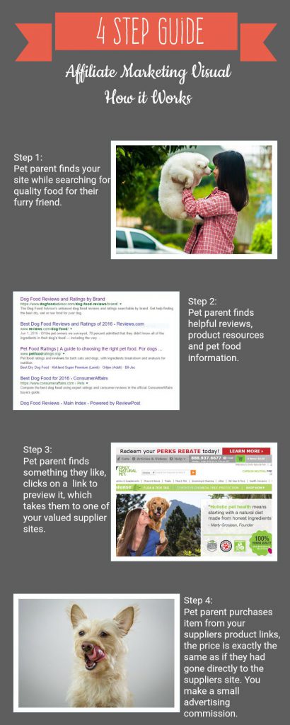 How Affiliate Marketing Works-4 Step Visual